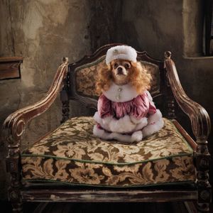 Meet your Posher, Dorothy